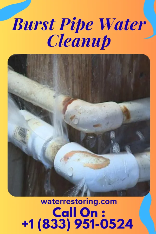 Burst Pipe Water Cleanup in Clearfield, PA