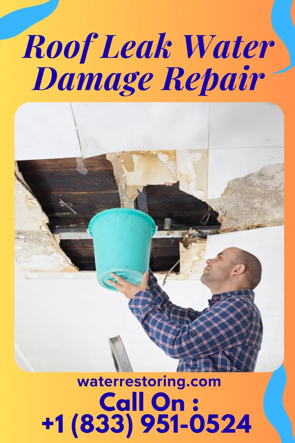 Roof Leak Water Damage Repair in Clearfield, PA