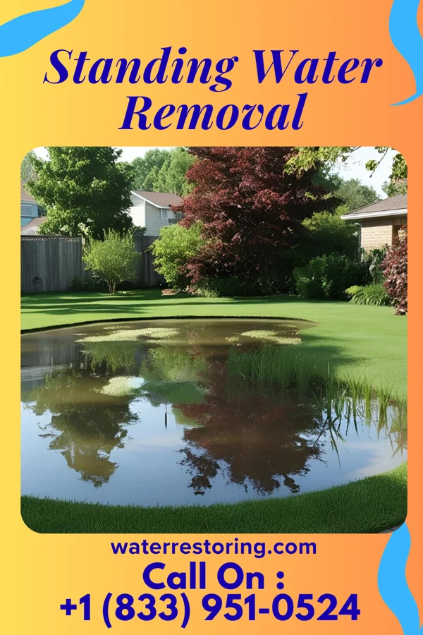 Standing Water Removal in Clearfield, PA